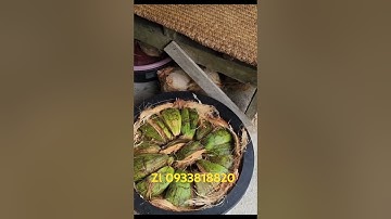 Cách làm kén chuyên nghiệp cho đuông dừa- hướng dẫn kĩ thuật nuôi đuông dừa tại nhà