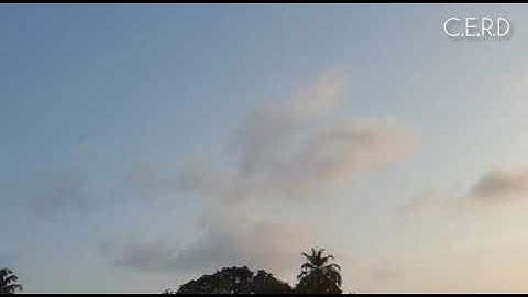 Land and Forest Degradation