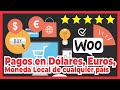 Cobra en Dolares Euros y Moneda nacional : Convertor Pro de moneda por pasarela WooComerce