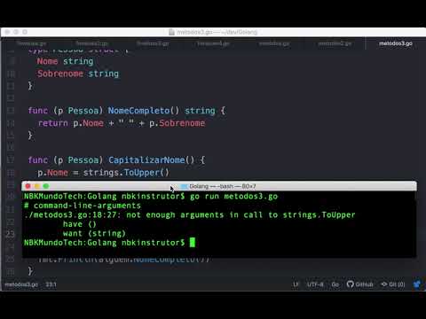 0010-58 Como Criar um Método com Ponteiro Receptor para Modificar os Dados Originais