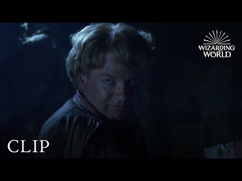 Gilderoy Lockhart Loses His Memory | Harry Potter and the Chamber of Secrets