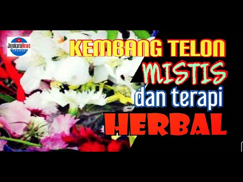 Kembang Telon, Mistis tapi Berkhasiat Herbal