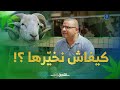 طبيب بيطري يوضح هكذا تستطيع تفحص الأضاحي واقتناء أحسنها