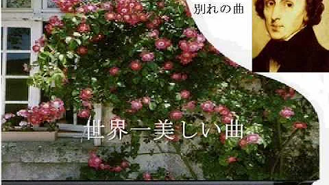 別れの歌 別れの歌