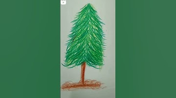 Tree Transition Video 🎄 #Tree#youtube #shorts#transition