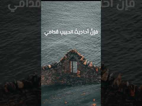 أدر ذكرى من أهوى ابن الفارض سلطان العاشقين