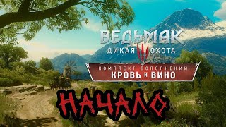 картинка: 1. Начало: Одолеть великана,  бруксу, победить шарлея ► Ведьмак 3: Кровь и вино