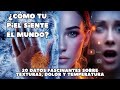 Los Receptores del Tacto: Cómo Detectamos Texturas, Dolor y Temperatura + 20 Datos Fascinantes