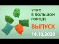 Утро в Большом Городе – выпуск от 14.10.2020 — ICTV