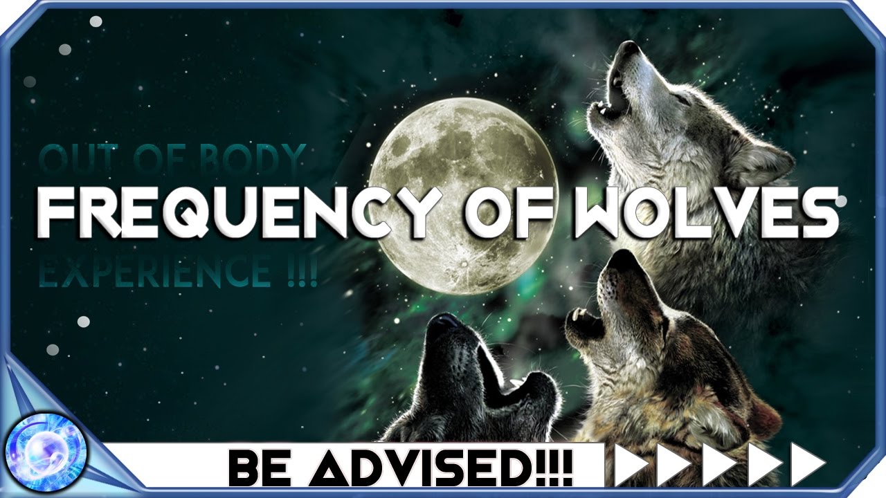 OBE EXPERIENCE WITH THE WOLVES!!! LUCID DREAMING ASTRAL PROJECTION MUSIC : BEST THETA BINAURAL BEATS