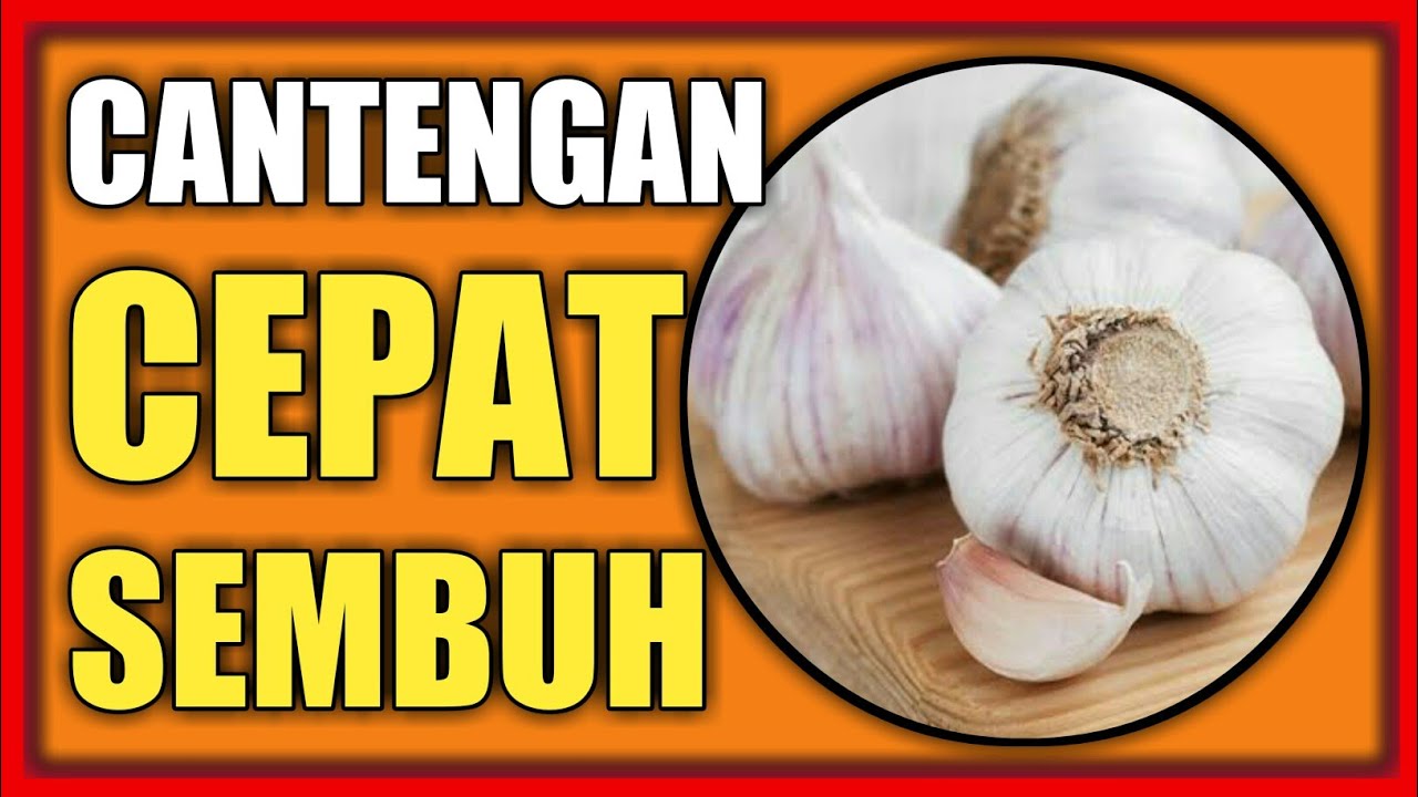 Obat Cantengan paling Manjur dan paling mudah di gunakan - Bawang Putih