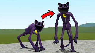 CATNAP BUT HE WALKS ON HIS 2 LEGS?! POPPY PLAYTIME CHAPTER 3 In Garry's Mod! by Tapliasmy 73,051 views 1 month ago 12 minutes, 2 seconds