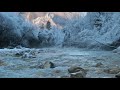 Relaxing Sound of a River 1 Hour   Cold Frosty Morning by The River