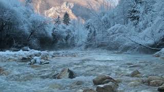 Relaxing Sound of a River 1 Hour   Cold Frosty Morning by The River