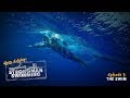 The swim | Strongman Swimming E4