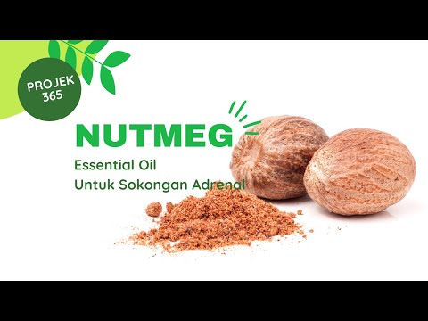 Video 57/365: Nutmeg Essential Oil untuk Sokongan Adrenal