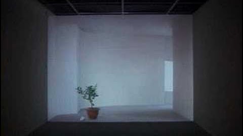 SUNSHINE  ON TRANQUILITY