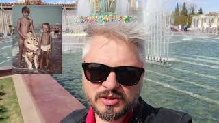 ВДНХ, фонтан каменный цветок и Музей кино ВДНХ, фонтан каменный цветок и Музей кино