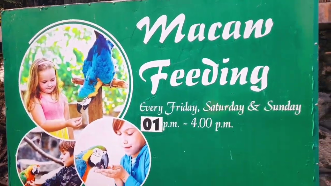 Dehiwala Zoological garden 🐪🐃🦍🐊🐠🐇🐅🦁🦓