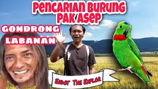 PENCARIAN BURUNG PAK ASEP | Endot The Explor ft.Gondrong Labanan
