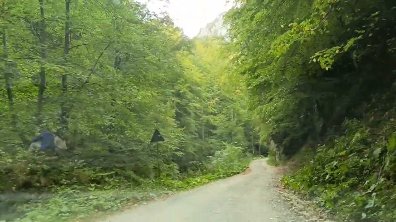 Cheile Bistriței...din Vâlcea..sigur nu știați de ele;:))