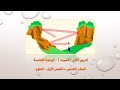الدرس الثاني الصوت الوحدة الخامسة الضوء والصوت الفصل الأول الصف الخامس 