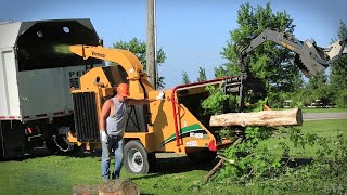 Amazing Dangerous Wood Chipper Machines in Action, Fastest Cutting Huge Tree & Woodworking