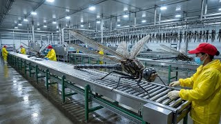 Inside the Odonata Factory: How Real Wings Turn Into Thin UAVs (Full Process)