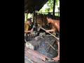 Traditional blacksmith