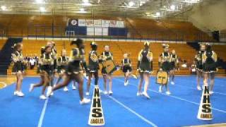 NHS Cheerleaders 2010-2011
