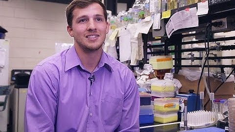 Undergraduate Research in the LSU College of Science
