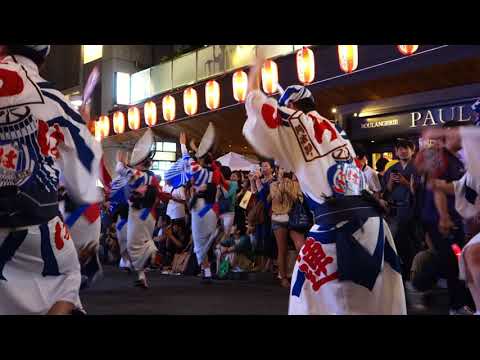 149　Summer Festival / Kagurazaka, Tokyo　夏祭り / 東京 神楽坂