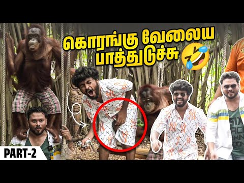 விளையாட்டு விபரீதம் ஆயிடுச்சு😥🤣 | Vj Siddhu Vlogs