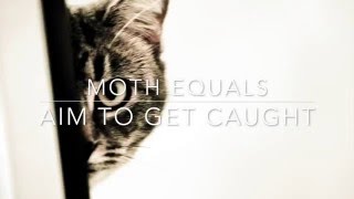Moth Equals - Aim To Get Caught