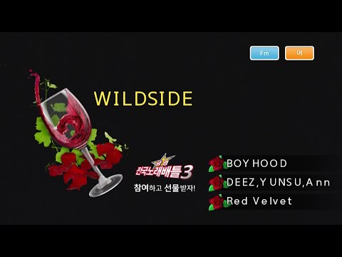 Keumyoung(금영)カラオケ WILDSIDE