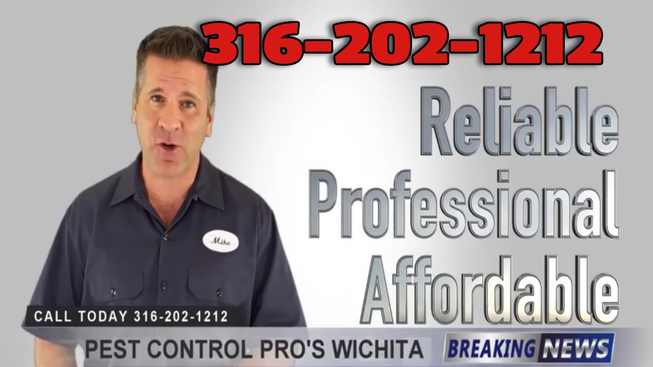 Best Termite Control Companies Maize KS