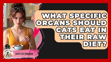 What Specific Organs Should Cats Eat In Their Raw Diet? - Happy Cat Handbook