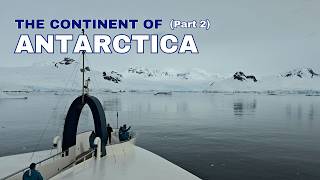 Doing a Zodiac Cruise in Curtiss Bay | Expedition Cruise to Antarctica