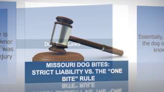 Missouri Dog Bites: Strict Liability vs. The One Bite Rule