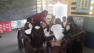 practicum lesson