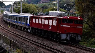 EF81 140+E531系 K409編成(9両)