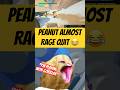 Peanut Almsot Rage Quit