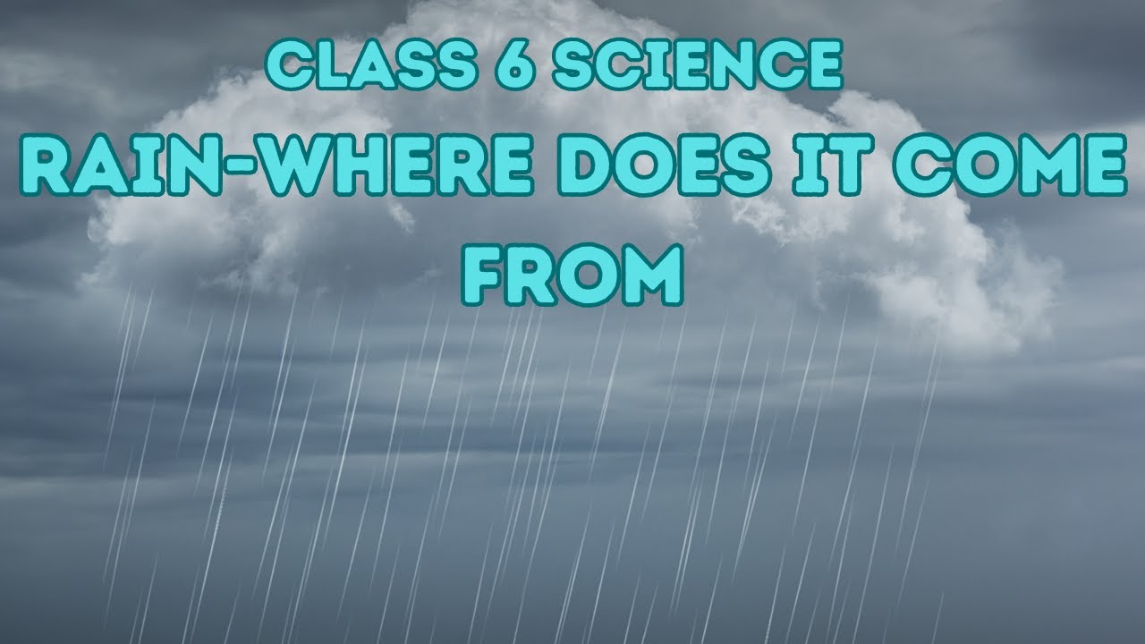 Rain where are you. Rain Classroom.