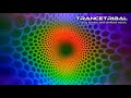 epic psychedelic chillout mix ( psybient psychill ambient ) 2024 HD