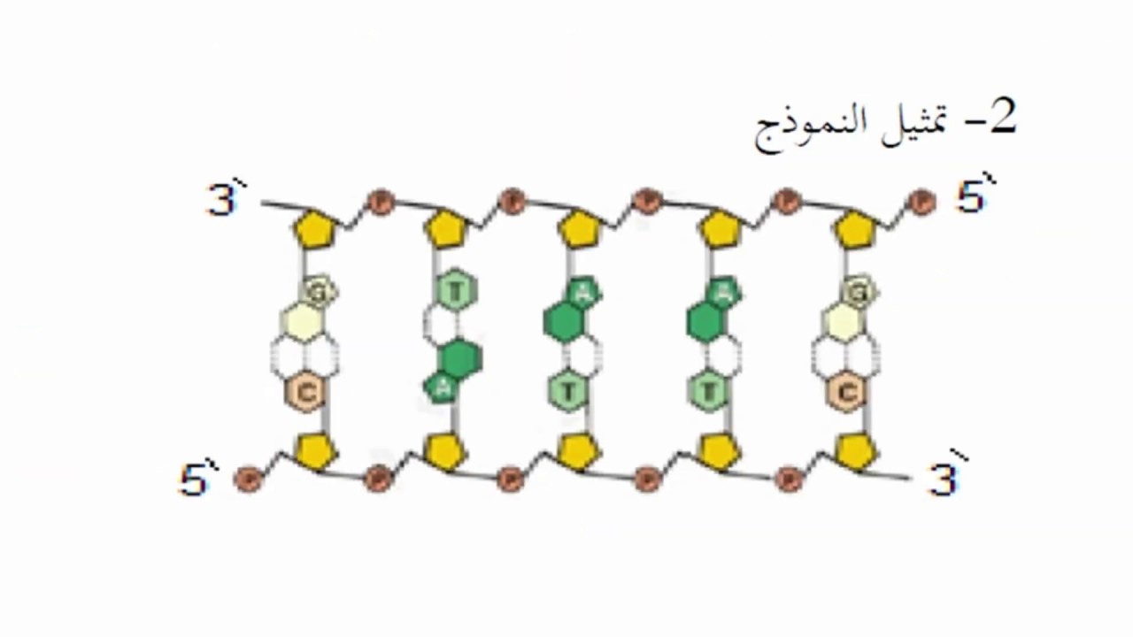 اختبار الفصل الثاني  في العلوم الطبيعية للسنة الثانية ثانوي وفق المنهجية الجديدة
