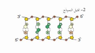 اختبار الفصل الثاني  في العلوم الطبيعية للسنة الثانية ثانوي وفق المنهجية الجديدة