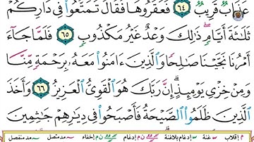(16) تلاوة مباركة بصوت فضيلة الشيخ وديع حمادي اليمني سورة هود الآيات: 63-68