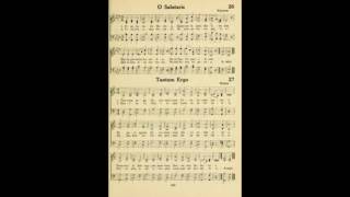 Tantum Ergo (Pipe Organ) chords