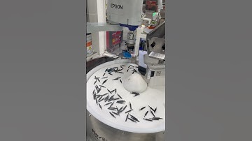 FlexiBowl® 500 | Mascara Brushes Tracking Pick & Place [Epson]