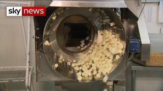 Brexit Forensics: Exporters unprepared over no-deal Brexit